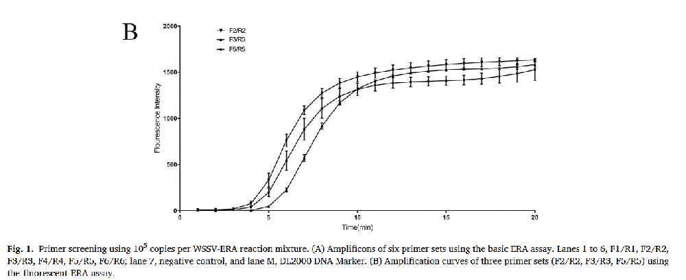 An isothermal enzymatic recombinase amplification (ERA) assay for rapid and accurate detection of Enterocytozoon hepatopenaei infection in shrimp