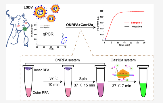 The End of the Gray Zone: One-Tube Nested Recombinase Polymerase Amplification with Ultrahigh Signal-to-Noise Ratio for Precisely Detecting and Surveilling Viruses