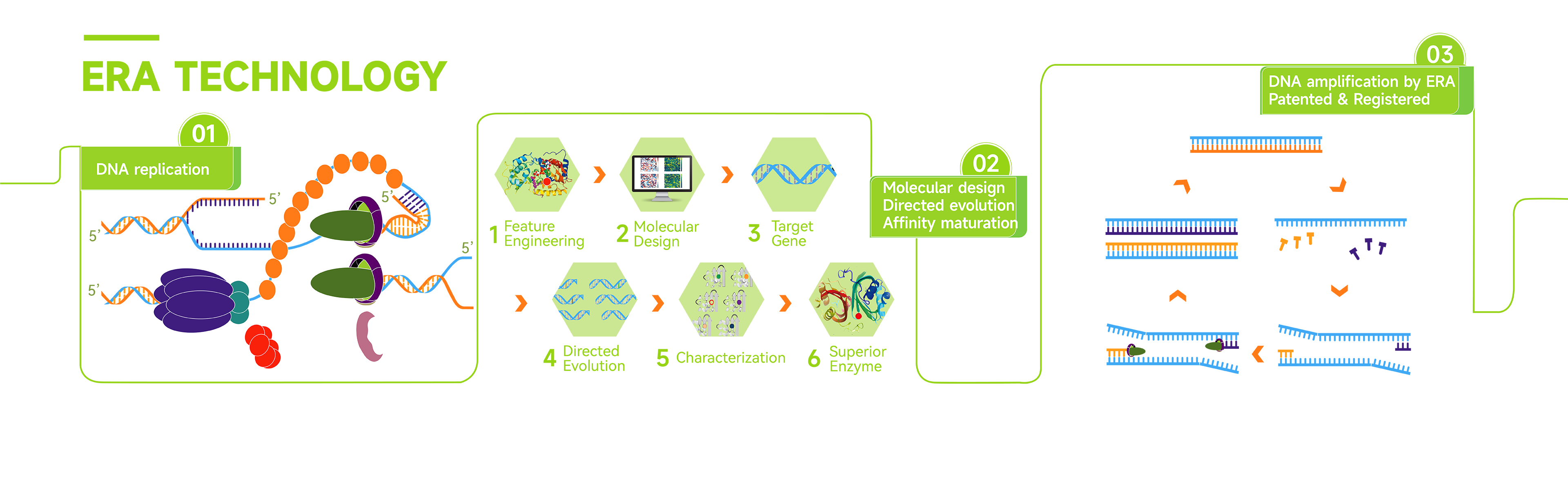 ERA技术原理图解 new 0529 白底绿字_压缩.png