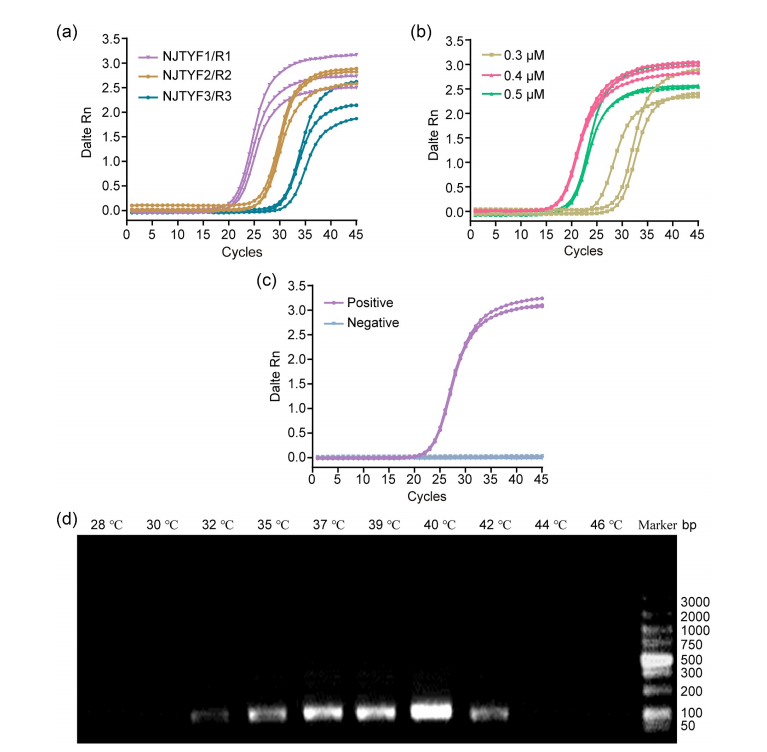 Development of an Enzymatic Recombinase Amplification Assay for the Rapid Detection of Plasmodium Nucleic Acids