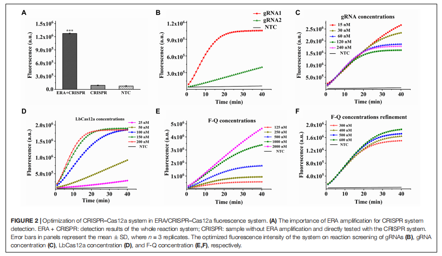 Ultrasensitive, Specific, and Rapid Detection of Mycoplasma pneumoniae Using the ERA/CRISPR–Cas12a Dual System