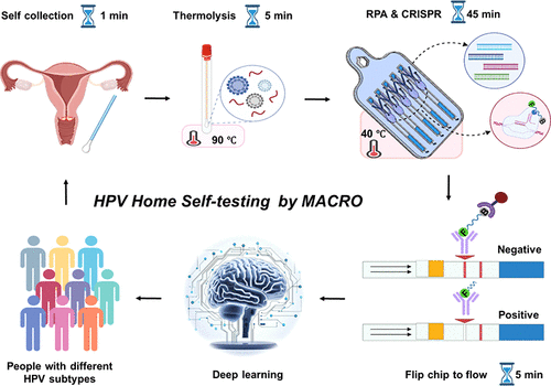 Deep Learning-Enhanced Hand-Driven Spatial Encoding Microfluidics for Multiplexed Molecular Testing at Home